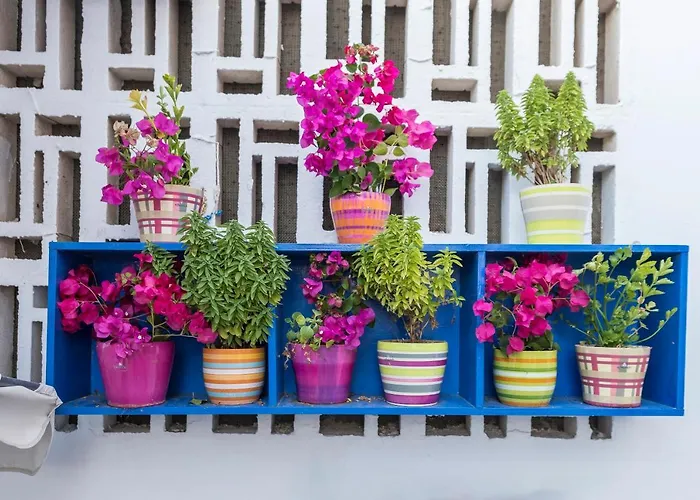 Bouganville αpartments 아다마스