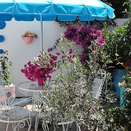 Bouganville αpartments *