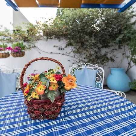 Bouganville αpartments 公寓 阿达玛斯